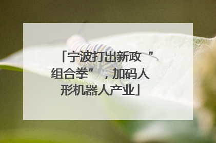宁波打出新政“组合拳”，加码人形机器人产业