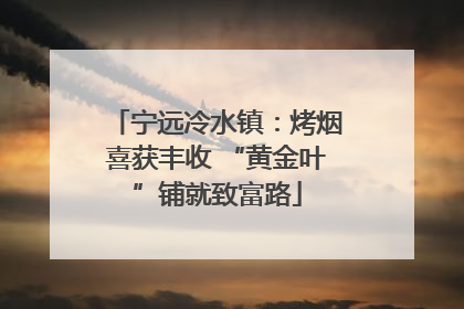 宁远冷水镇：烤烟喜获丰收 “黄金叶”铺就致富路
