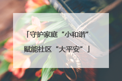 守护家庭“小和谐” 赋能社区“大平安”