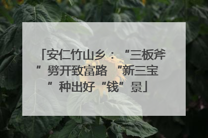 安仁竹山乡：“三板斧”劈开致富路 “新三宝”种出好“钱”景