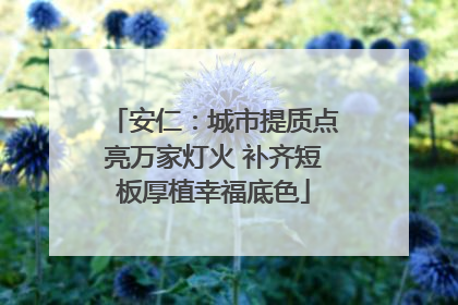 安仁：城市提质点亮万家灯火 补齐短板厚植幸福底色