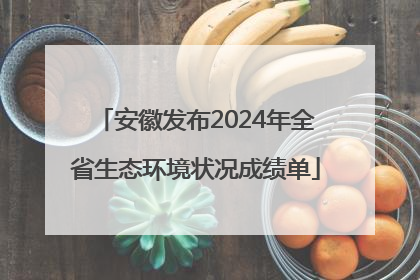 安徽发布2024年全省生态环境状况成绩单