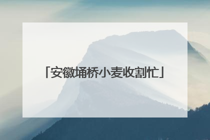 安徽埇桥小麦收割忙