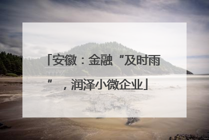 安徽：金融“及时雨”，润泽小微企业