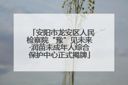 安阳市龙安区人民检察院“豫”见未来·润苗未成年人综合保护中心正式揭牌