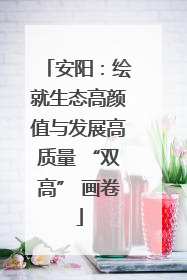 安阳：绘就生态高颜值与发展高质量 “双高” 画卷