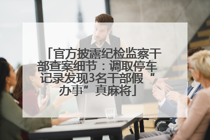 官方披露纪检监察干部查案细节：调取停车记录发现3名干部假“办事”真麻将