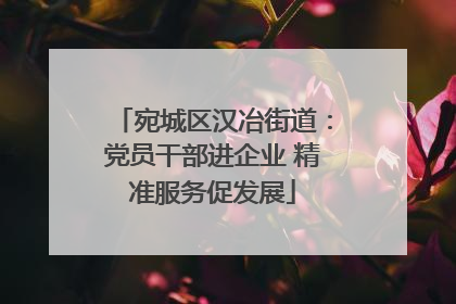 宛城区汉冶街道：党员干部进企业 精准服务促发展