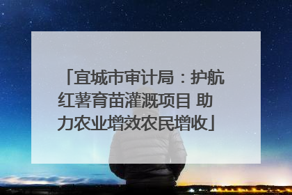 宜城市审计局：护航红薯育苗灌溉项目 助力农业增效农民增收