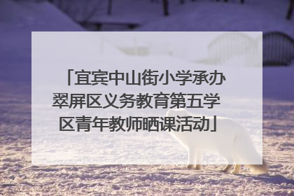 宜宾中山街小学承办翠屏区义务教育第五学区青年教师晒课活动