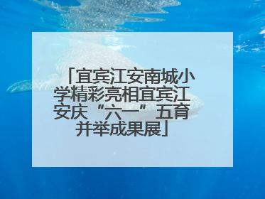 宜宾江安南城小学精彩亮相宜宾江安庆“六一”五育并举成果展