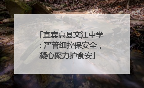 宜宾高县文江中学：严管细控保安全，凝心聚力护食安