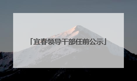 宜春领导干部任前公示