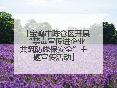 宝鸡市陈仓区开展“禁毒宣传进企业 共筑防线保安全”主题宣传活动