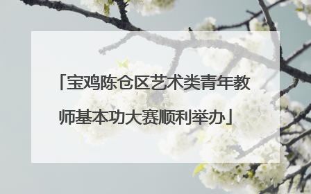 宝鸡陈仓区艺术类青年教师基本功大赛顺利举办
