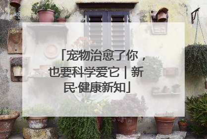 宠物治愈了你，也要科学爱它｜新民·健康新知