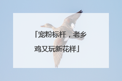 宠粉标杆，老乡鸡又玩新花样
