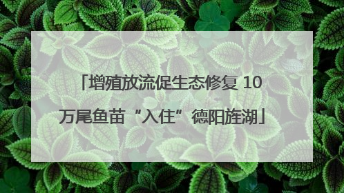 增殖放流促生态修复 10万尾鱼苗“入住”德阳旌湖