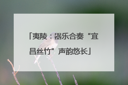 夷陵：器乐合奏“宜昌丝竹”声韵悠长