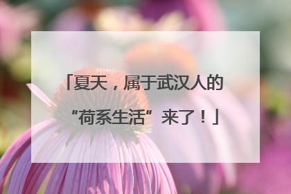 夏天，属于武汉人的“荷系生活”来了！