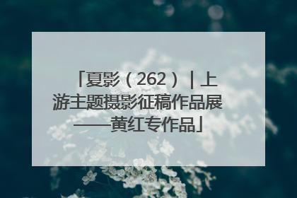 夏影（262）｜上游主题摄影征稿作品展——黄红专作品