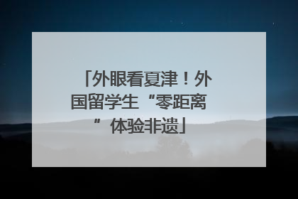 外眼看夏津！外国留学生“零距离”体验非遗