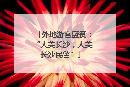 外地游客盛赞：“大美长沙，大美长沙民警”
