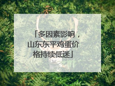 多因素影响，山东东平鸡蛋价格持续低迷