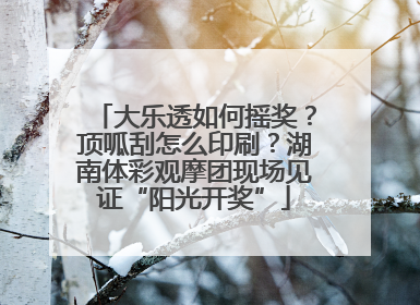大乐透如何摇奖？顶呱刮怎么印刷？湖南体彩观摩团现场见证“阳光开奖”