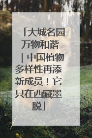 大城名园 万物和谐｜中国植物多样性再添新成员！它只在西藏墨脱