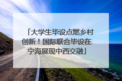 大学生毕设点燃乡村创新！国际联合毕设在宁海展现中西交融