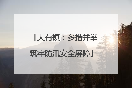 大有镇：多措并举筑牢防汛安全屏障