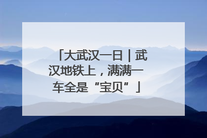 大武汉一日｜武汉地铁上，满满一车全是“宝贝”