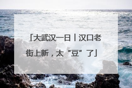 大武汉一日︱汉口老街上新，太“豆”了