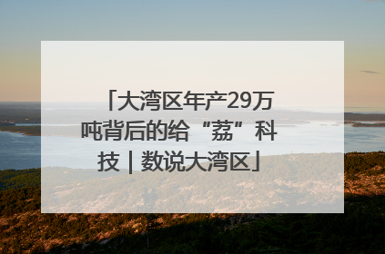 大湾区年产29万吨背后的给“荔”科技｜数说大湾区