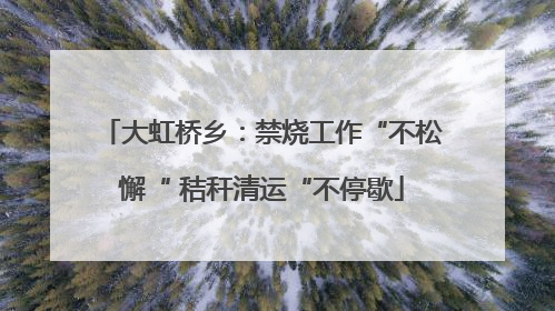 大虹桥乡：禁烧工作“不松懈“ 秸秆清运“不停歇