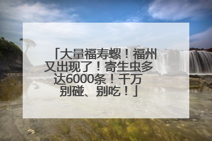 大量福寿螺！福州又出现了！寄生虫多达6000条！千万别碰、别吃！