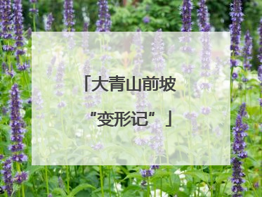 大青山前坡“变形记”