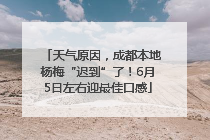 天气原因，成都本地杨梅“迟到”了！6月5日左右迎最佳口感
