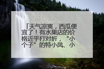 天气凉爽，西瓜便宜了！有水果店的价格近乎打对折，“小个子”的特小凤、小糖丸更好卖