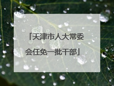 天津市人大常委会任免一批干部