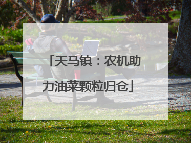 天马镇：农机助力油菜颗粒归仓