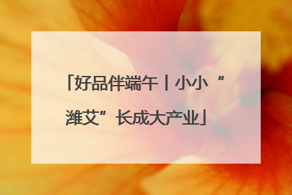 好品伴端午丨小小“潍艾”长成大产业