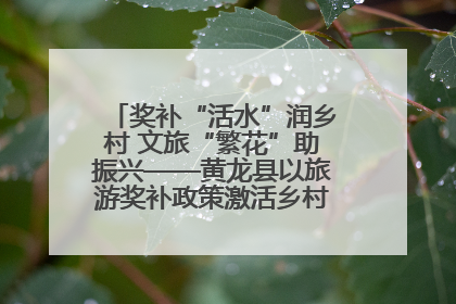 奖补“活水”润乡村 文旅“繁花”助振兴——黄龙县以旅游奖补政策激活乡村振兴新动能