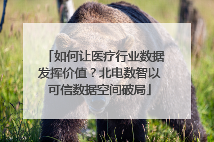 如何让医疗行业数据发挥价值？北电数智以可信数据空间破局