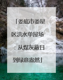 娄底市娄星区洪水单屋场：从煤灰蔽日到绿意盎然