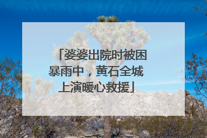 婆婆出院时被困暴雨中，黄石全城上演暖心救援
