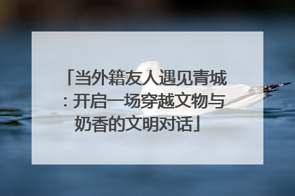 当外籍友人遇见青城：开启一场穿越文物与奶香的文明对话