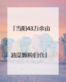当阳43万余亩油菜颗粒归仓