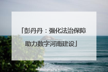 彭丹丹：强化法治保障 助力数字河南建设
